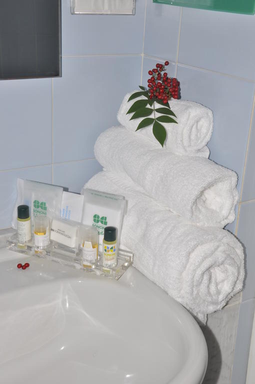 Green Hotel Poviglio  객실 사진